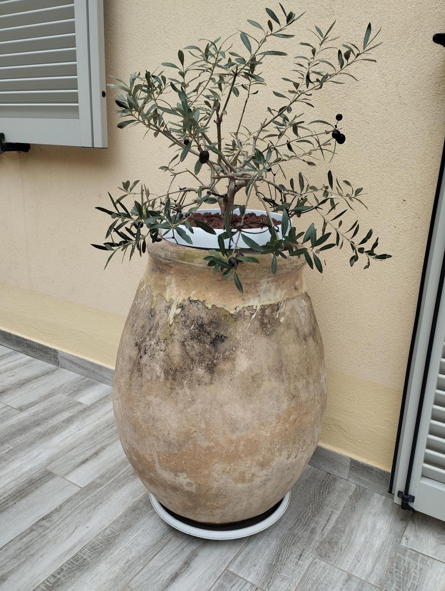 Pama Mar Lägenhet Imperia Exteriör bild